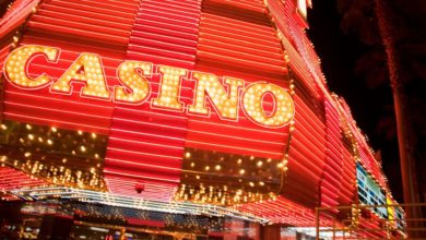 Hokkaido Refrains Its Bid to Host Casino Amidst the Environment Concerns
