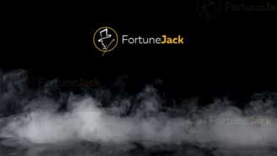 FortuneJack: a Platform for Online Gaming Enthusiasts