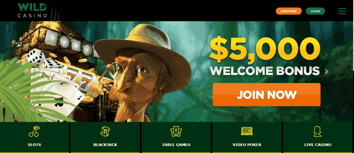 Wild Casino Review – The welcome Bonus