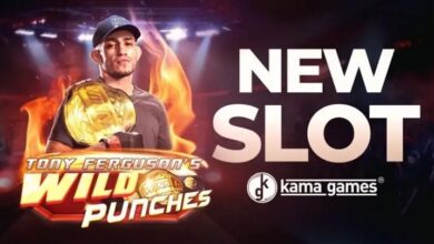 KamaGames Launches Tony Ferguson Wild Punches