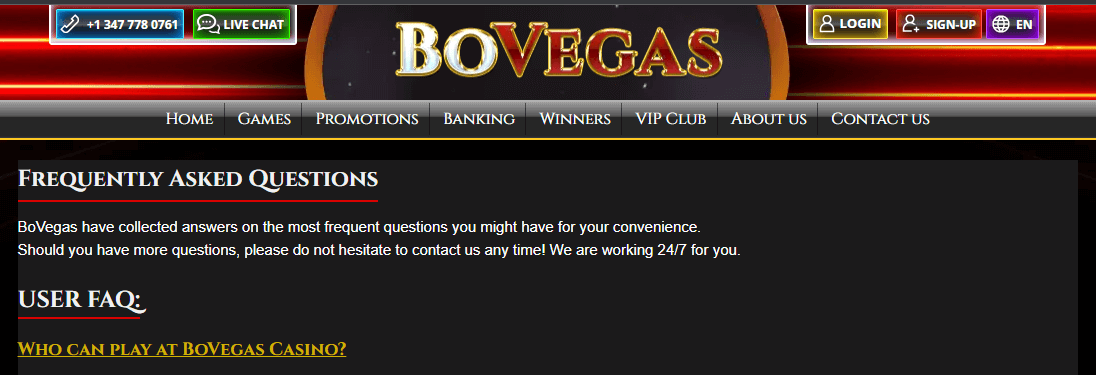 BoVegas Casino Customer Support