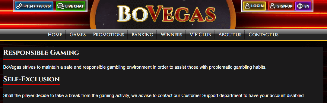 BoVegas Casino Responsible Gaming