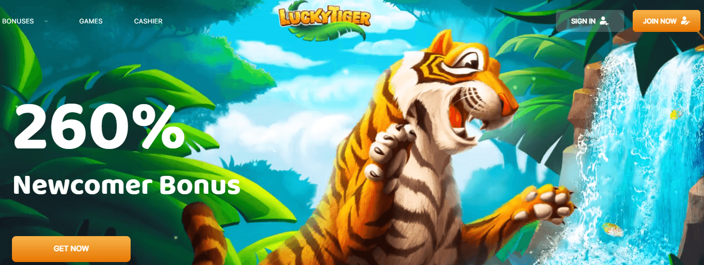Lucky Tiger Casino User Interface