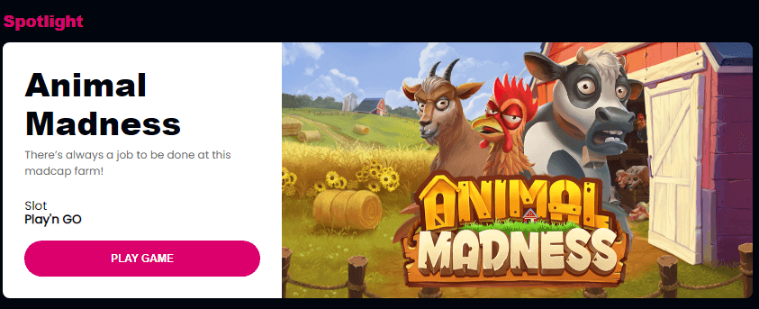 Betplay.io Casino Animal Madness Betplay.io Casino Animal Madness