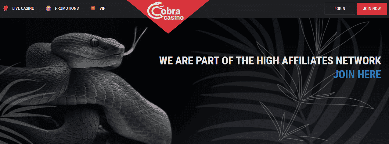 Cobra Casino Affiliate Program
