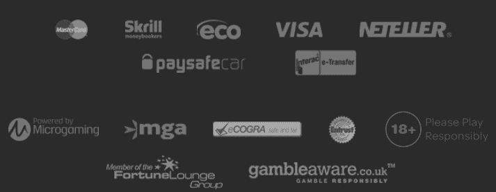 Euro Palace Casino Payment Methods & Game Providers