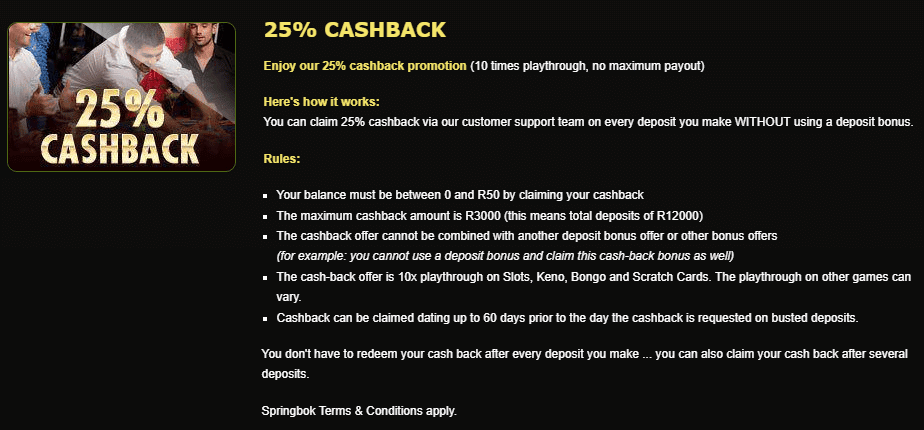 Springbok Casino 25% Cashback Offer