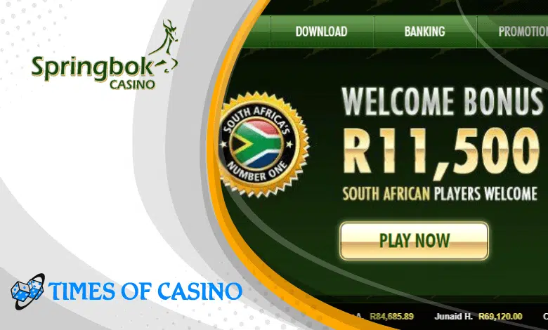Springbok Casino Review