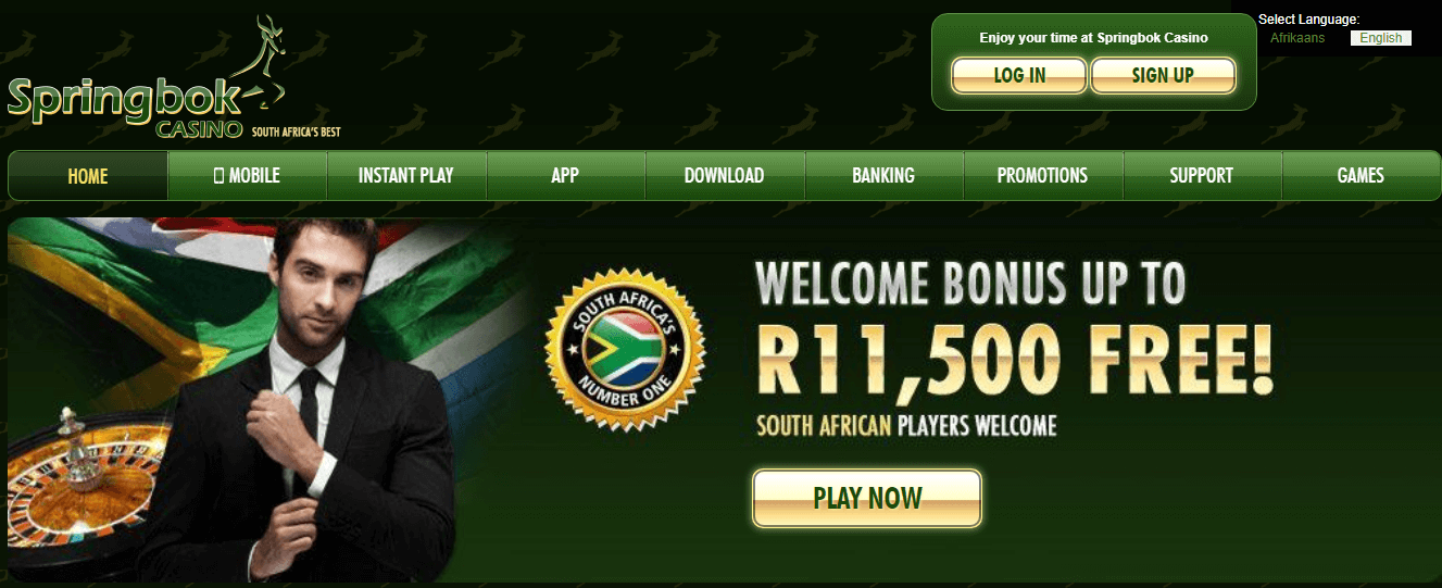 Springbok Casino User Interface