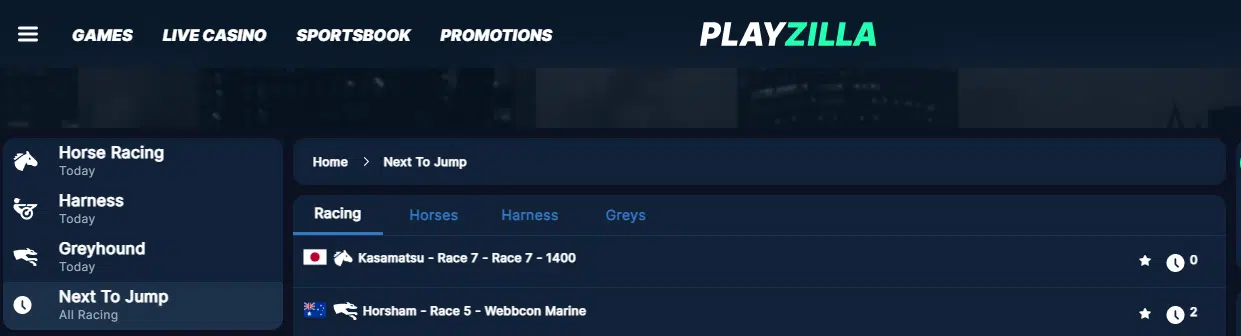 Horse Racing by PlayZilla