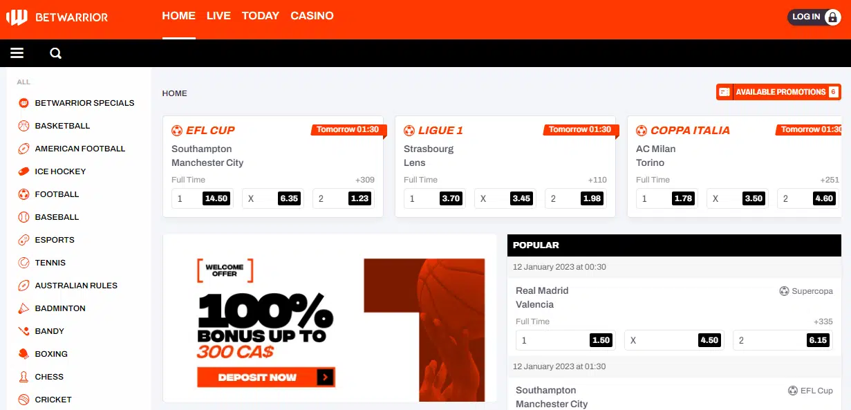 BetWarrior user interface