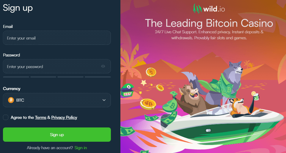 Wild.io Casino Sign Up Process
