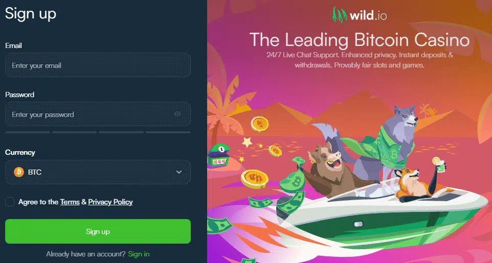 Wild.io Casino Sign Up Process Wild.io Casino Sign Up Process