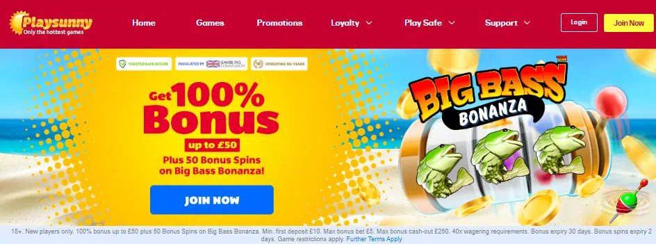 PlaySunny Casino User Interface PlaySunny Casino User Interface