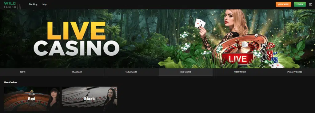 Wild Casino Live Dealer Casino