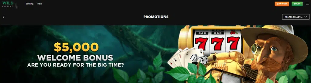 Wild Casino Welcome Bonus