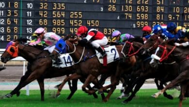 Horse Racing Betting - Get on a roll with Preakness props at BetOnline