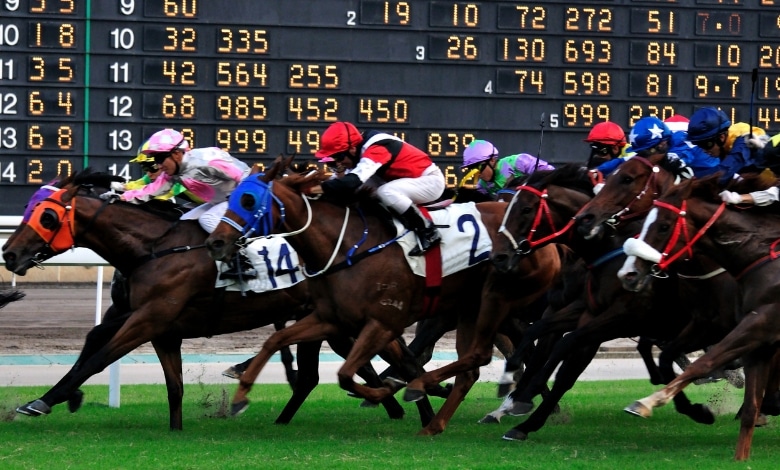 Horse Racing Betting - Get on a roll with Preakness props at BetOnline