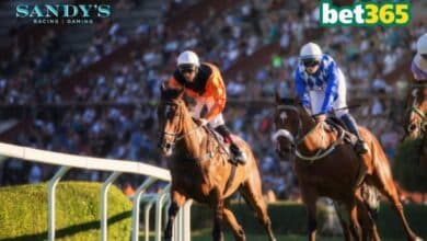 Sandy’s Racing & Gaming enters multi-year partnership with bet365