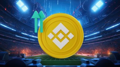 Transforming sports arena with Binance crypto coin Evolution and future