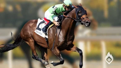 Nysos Retires Sound and Will Stand at Ashford Stud in 2027